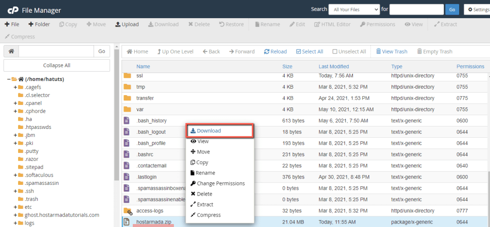 Download Website Archive (Backup) from File Manager