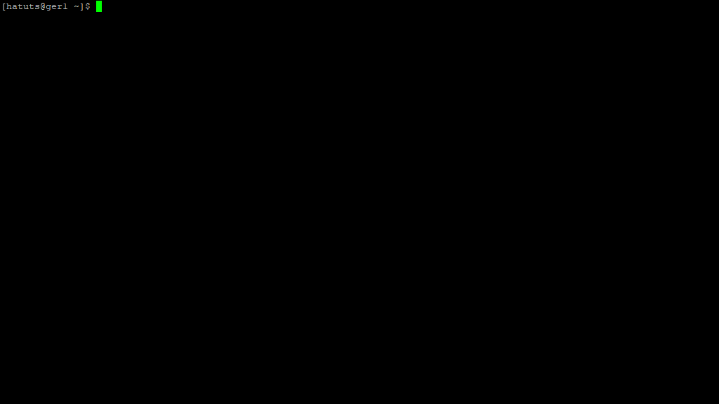 SSH connection screen