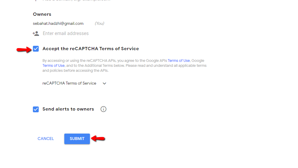 Accepting reCaptcha Terms