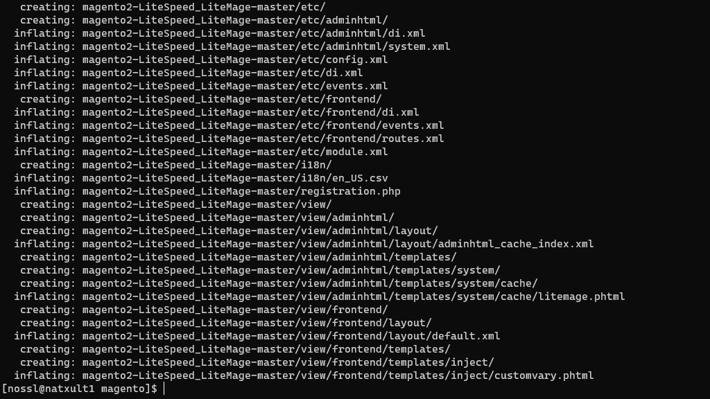 Magento LiteMage module extraction process SSH