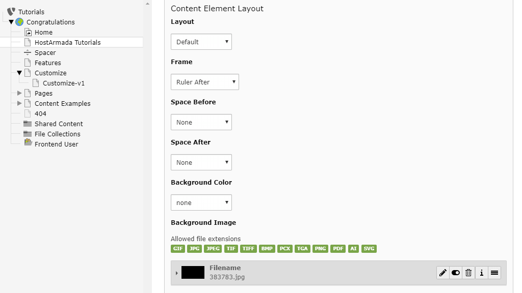 Content Element Layout section
