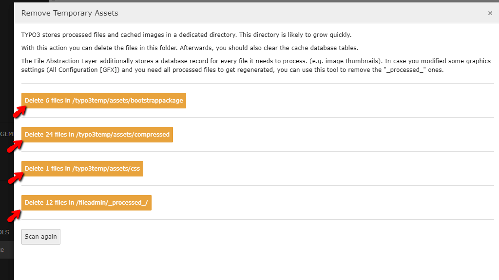 Remove TYPO3 Temporary Assets
