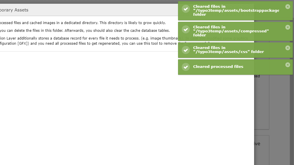 TYPO3 Temporary Files Deleted