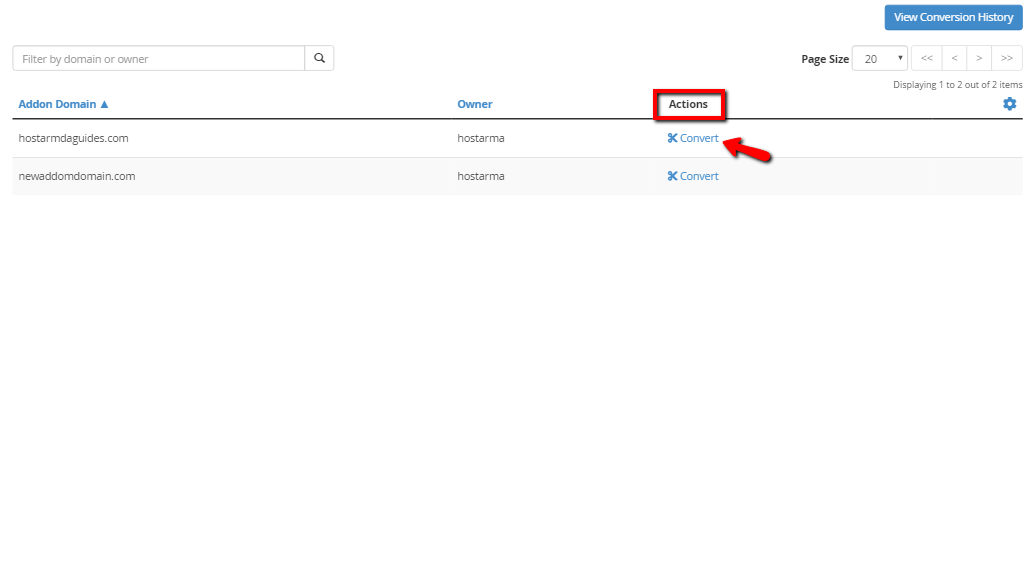 Selecting the Convert option