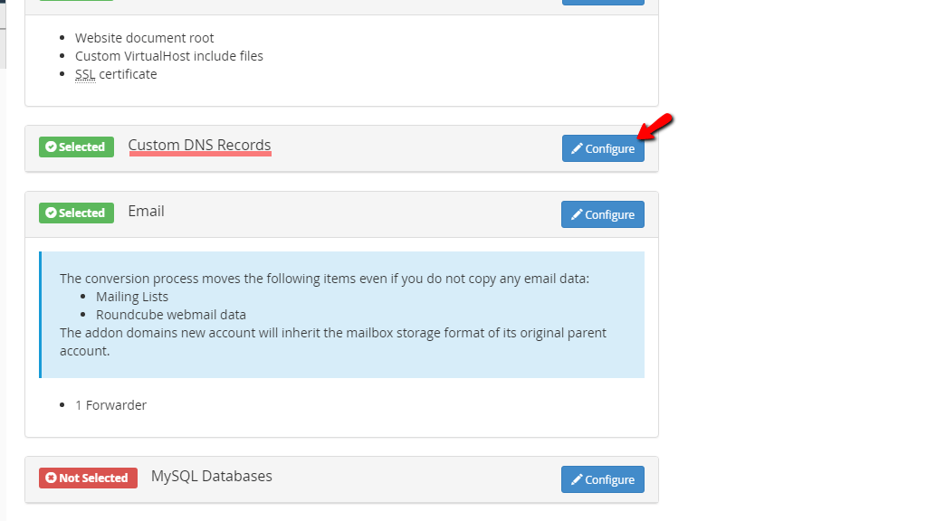 Custom DNS Records section