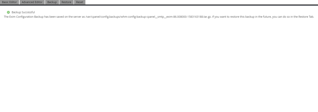Save on Server backup option output