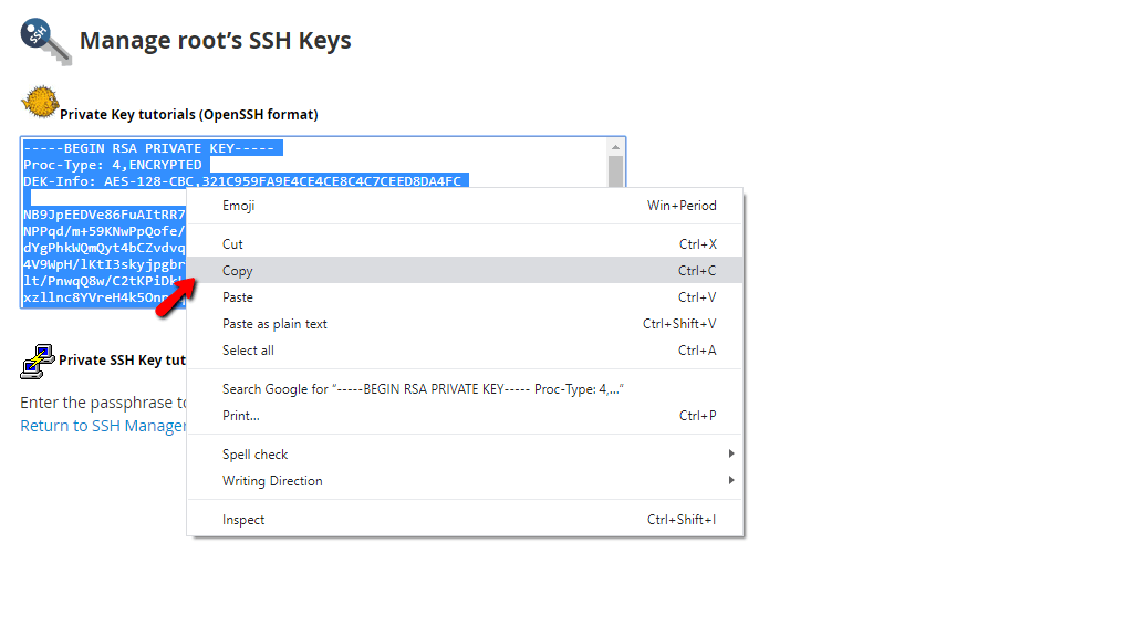 Copying Private Key