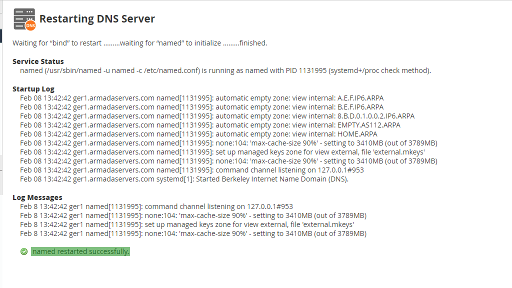 Restarting DNS server output