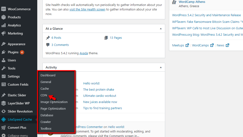 Access WordPress LiteSpeed CDN Settings