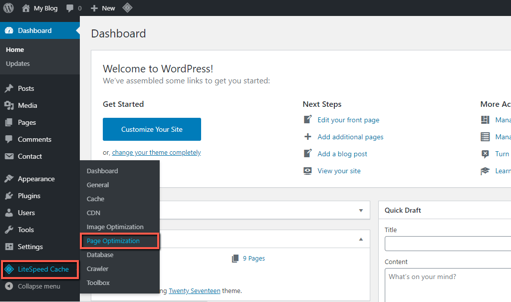 Access WordPress LiteSpeed Cache Page Optimization Settings